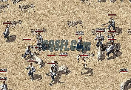 1.76�����ؽ䴫��