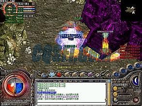 �¿�΢����װ������վ