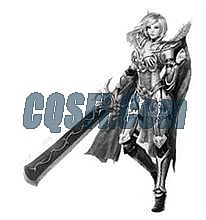 �������ٵ�ְҵ�汾