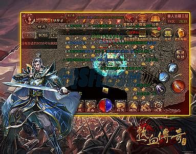 �����¿�������̬����